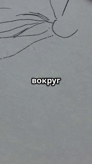 как легко нарисовать цветок