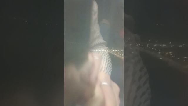 посадка на самолете в аэропорте Внуково