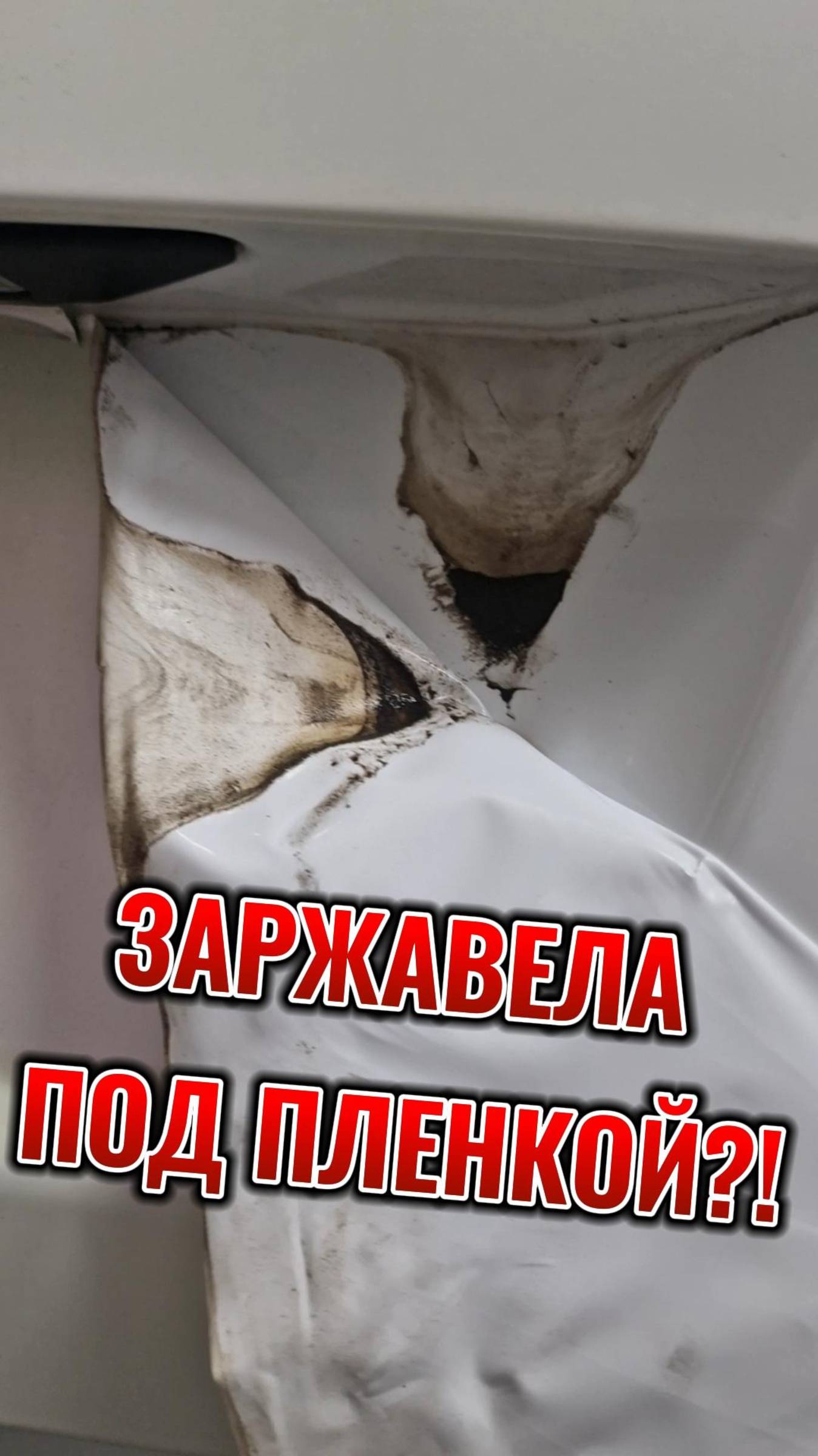Заржавеет ли машина из-за оклейки в плёнку