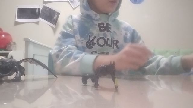 1000011697.mp4