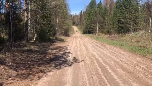 В ЭТОМ ЛЕСУ Я ВИДЕЛ И МЕДВЕДЯ, А СЕГОДНЯ ПРИБЕЖАЛ ЗАЙЧИК