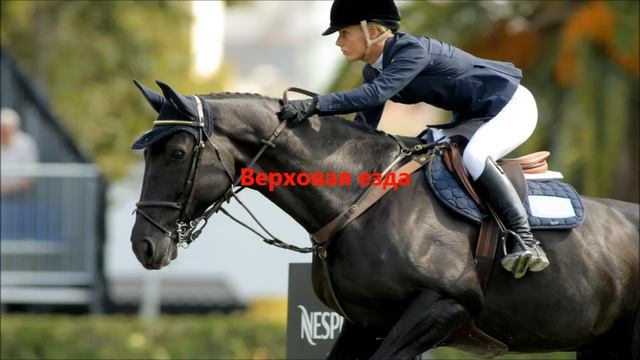 10 САМЫХ ОПАСНЫХ ВИДОВ СПОРТА
