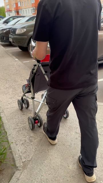 София в свои шесть лет пока не может без коляски, ДЦП не дает долго ходить