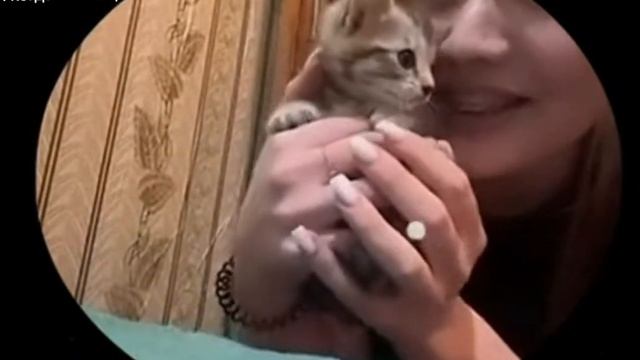 Я когда посмотрел все части кунг-фу панды