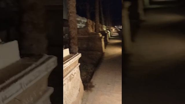 тёплый египетский вечер
