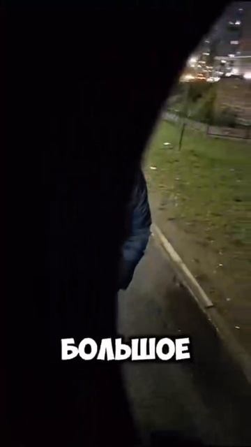 #обнимашки