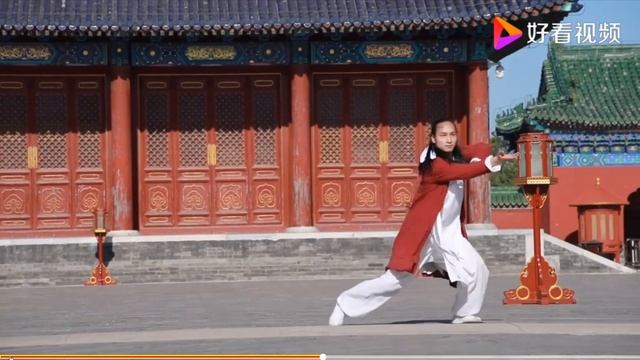 伏虎拳,  Subduing Tiger Fist, Phục Hổ quyền, Võ Đang, Ушу Удан, Укрощени?