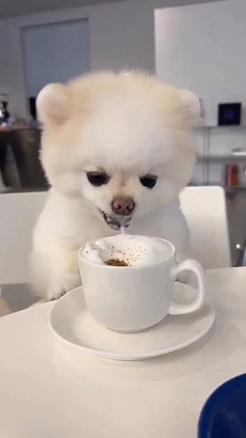 доброе утро