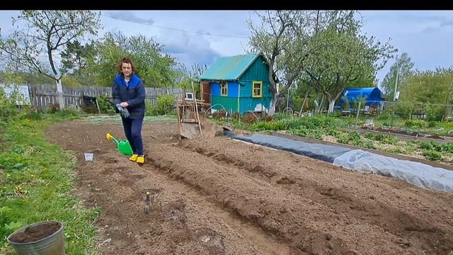 Муж ругается за КРИВЫЕ грядки/На ОГОРОДЕ