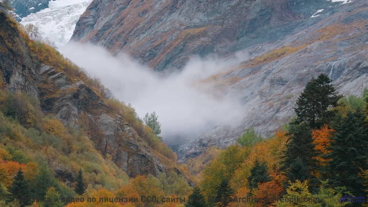 Эта композиция взламывает сны - что вы увидите ночью - Run Run Run -- Taylor Poe -- Safe Behind the