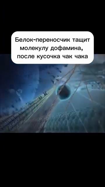 А вы как думали?)