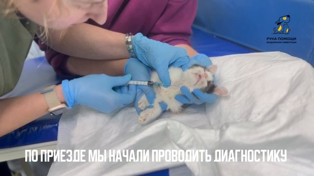 Волонтёры из Нижнего Ломова попросили помощи. Поддержать⬇️