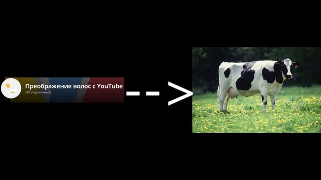 Преображение волос с YouTube - коровище!