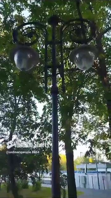 #shorts Знакомство с парком#shorts