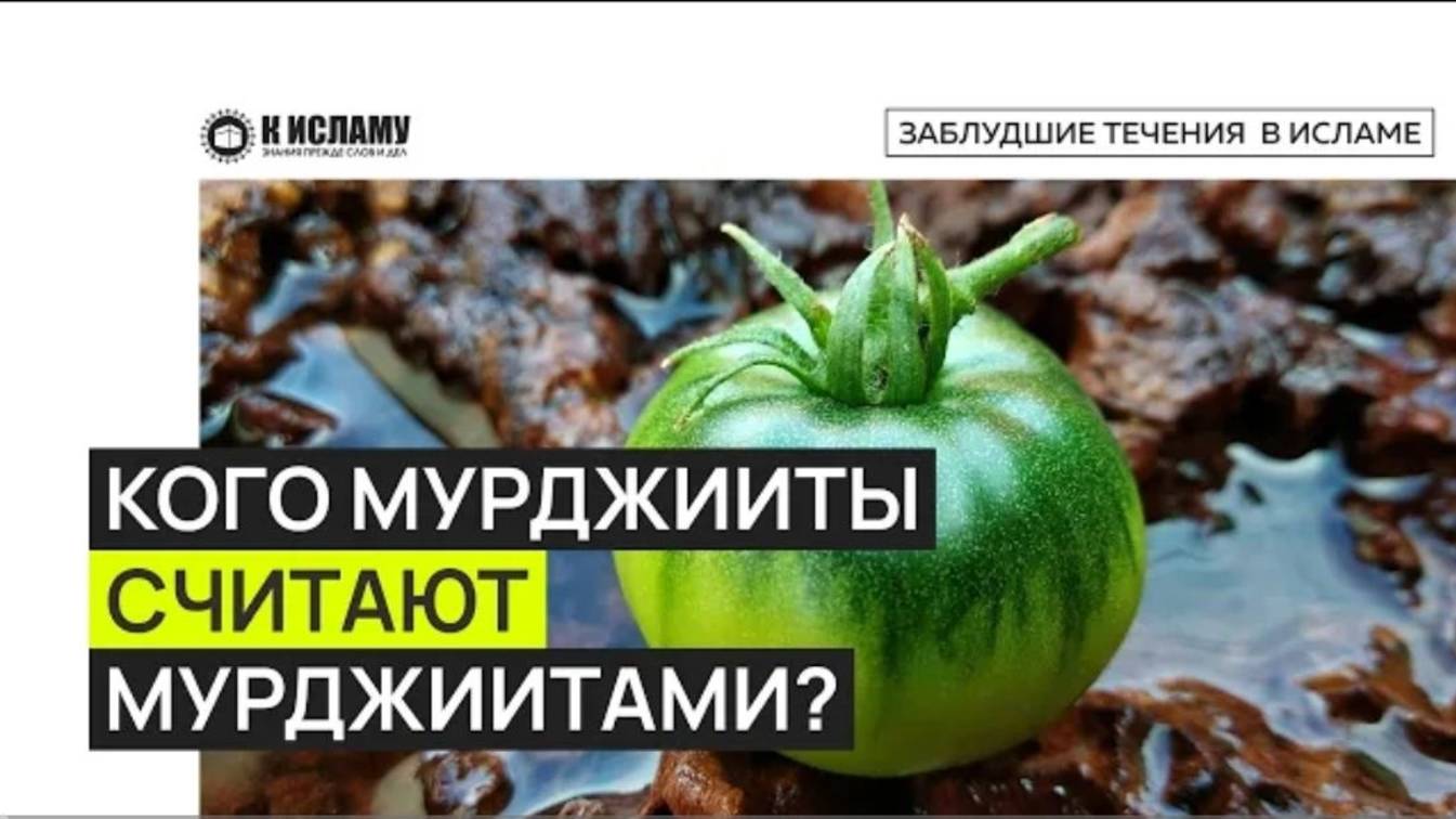 Кого МУРДЖИИТЫ считают мурджиитами и кого ХАРИДЖИТЫ считают хариджитами Ринат Абу Мухаммад