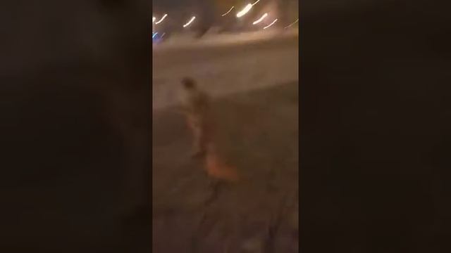 Техника катания на коньках и первые ученики школы