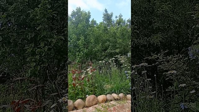 Таро.Новости для вас.