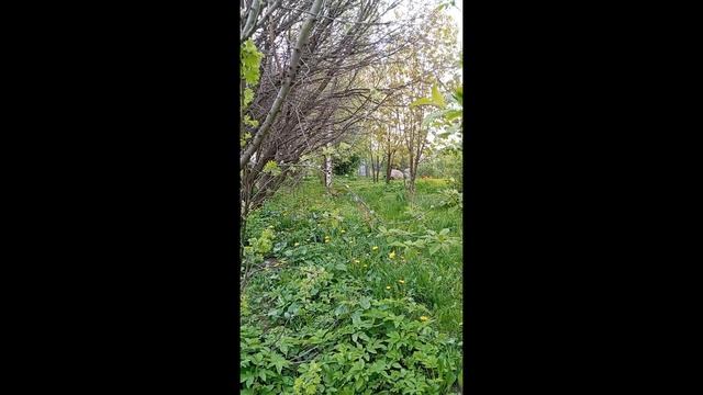 природа в моём районе