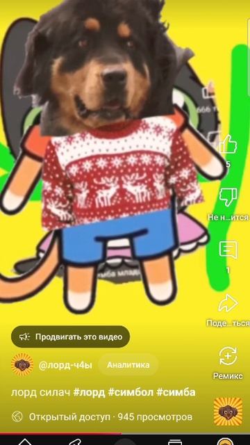 лорд силач #лорд #бэтти #белка