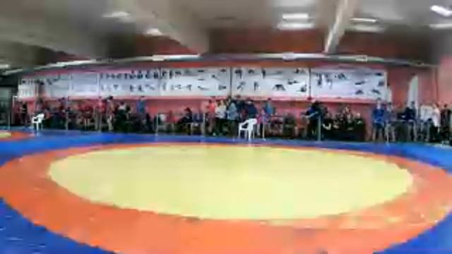 Ковер 1 (в/к 71-А, 88 кг)