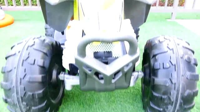 Малыш Крис очень хочет завести котенка