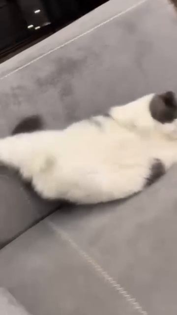 1000077565.mp4