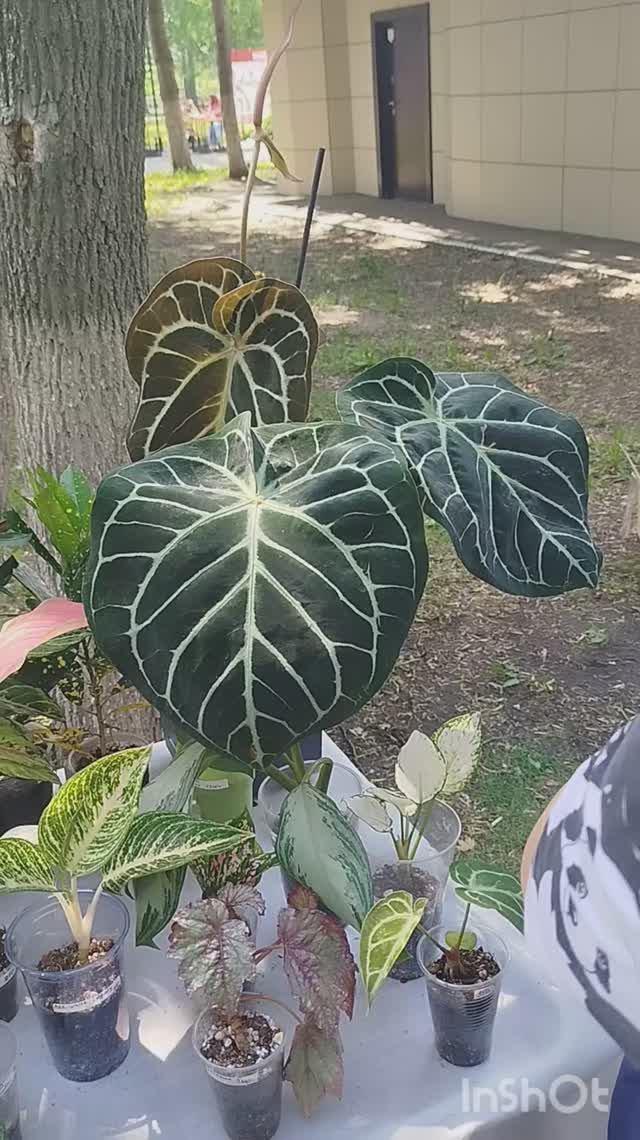 1000005444.mp4