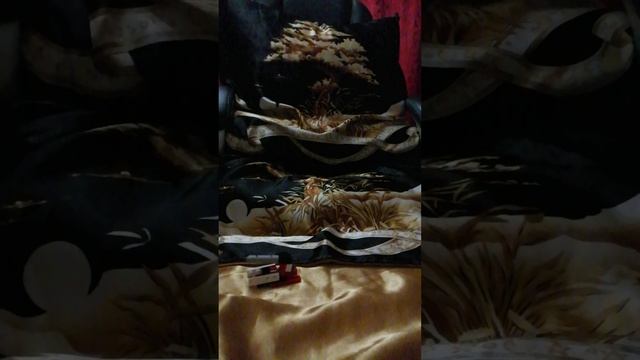 VID_20250518_203301.mp4