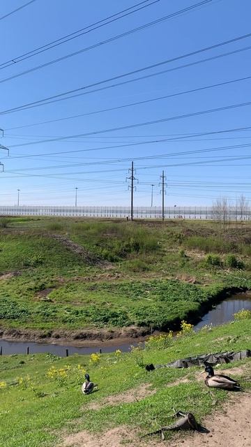 Утро на окраине Питера