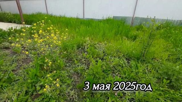 Белореченск хутор Грушевый купили 🏠 дом,отъезд домой Оренбург станица Краснохолм.