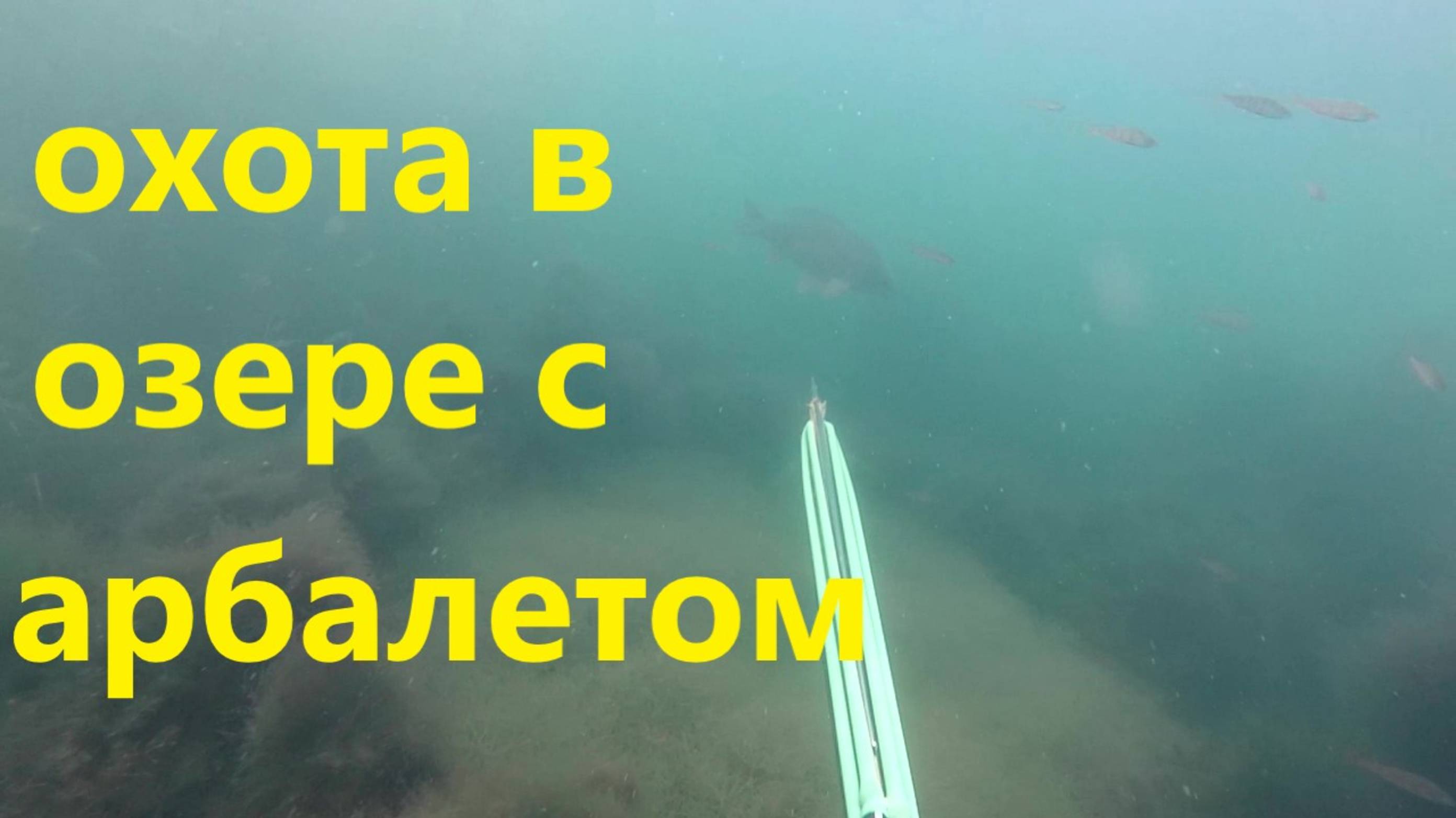 Охота с арбалетом в озере