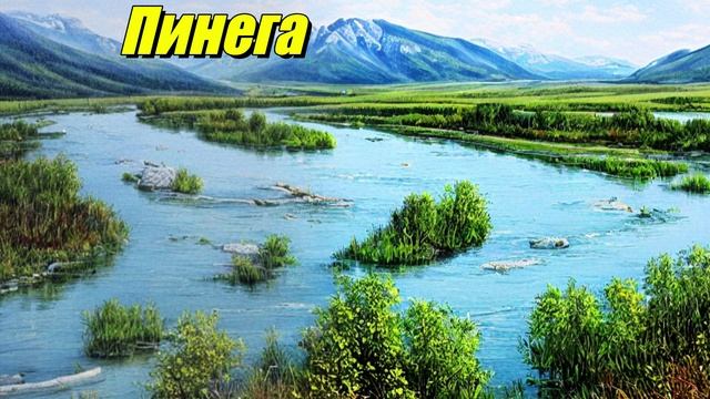 Пинега