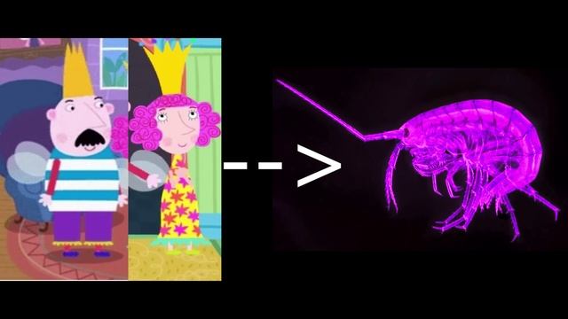 Мэригольды из Маленького королевства - сверх бокоплавища!