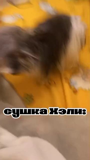 1000х