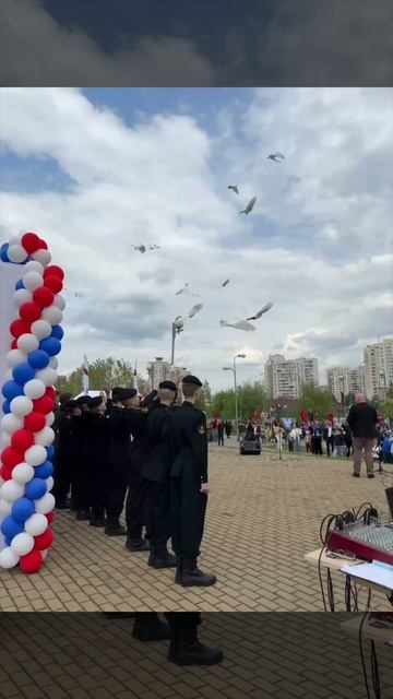 В Москве посадили аллею из кедров в память о погибших военкорах