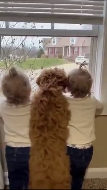 video_2025-05-17_15-05-10