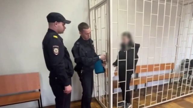 В Ветлуге задержали девушку, которая жестоко избила прохожего