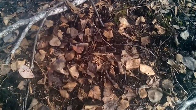 Апрельский поиск клада