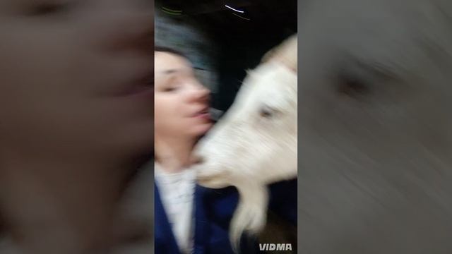 Давайте знакомиться 🫶🏻