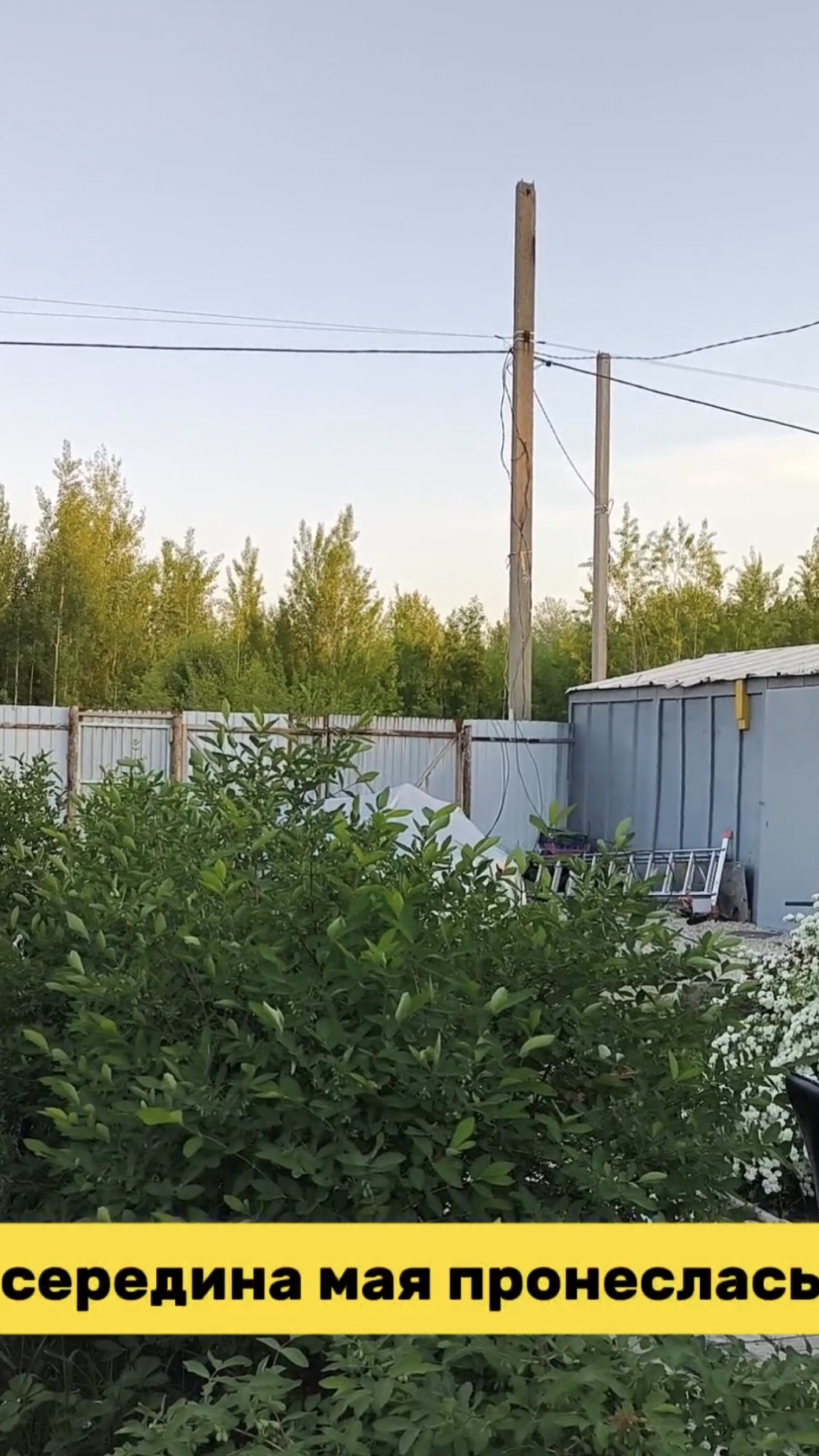 Середина мая пронеслась