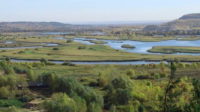 Зоя Воловикова
«Июнь ромашками»