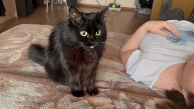 Буся м прическа