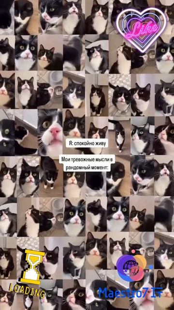 💡 Разные мысли ...