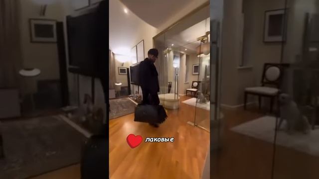 Бесконечный поток позитива! Николай Василенко!