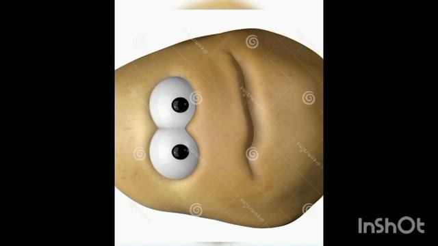 1000002442.mp4