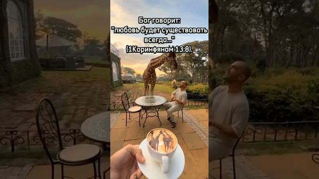 VID_20250518_030409_824.mp4