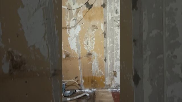 1002069400.mp4