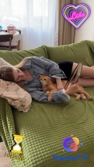 💡 Котики любят обнимашки ...