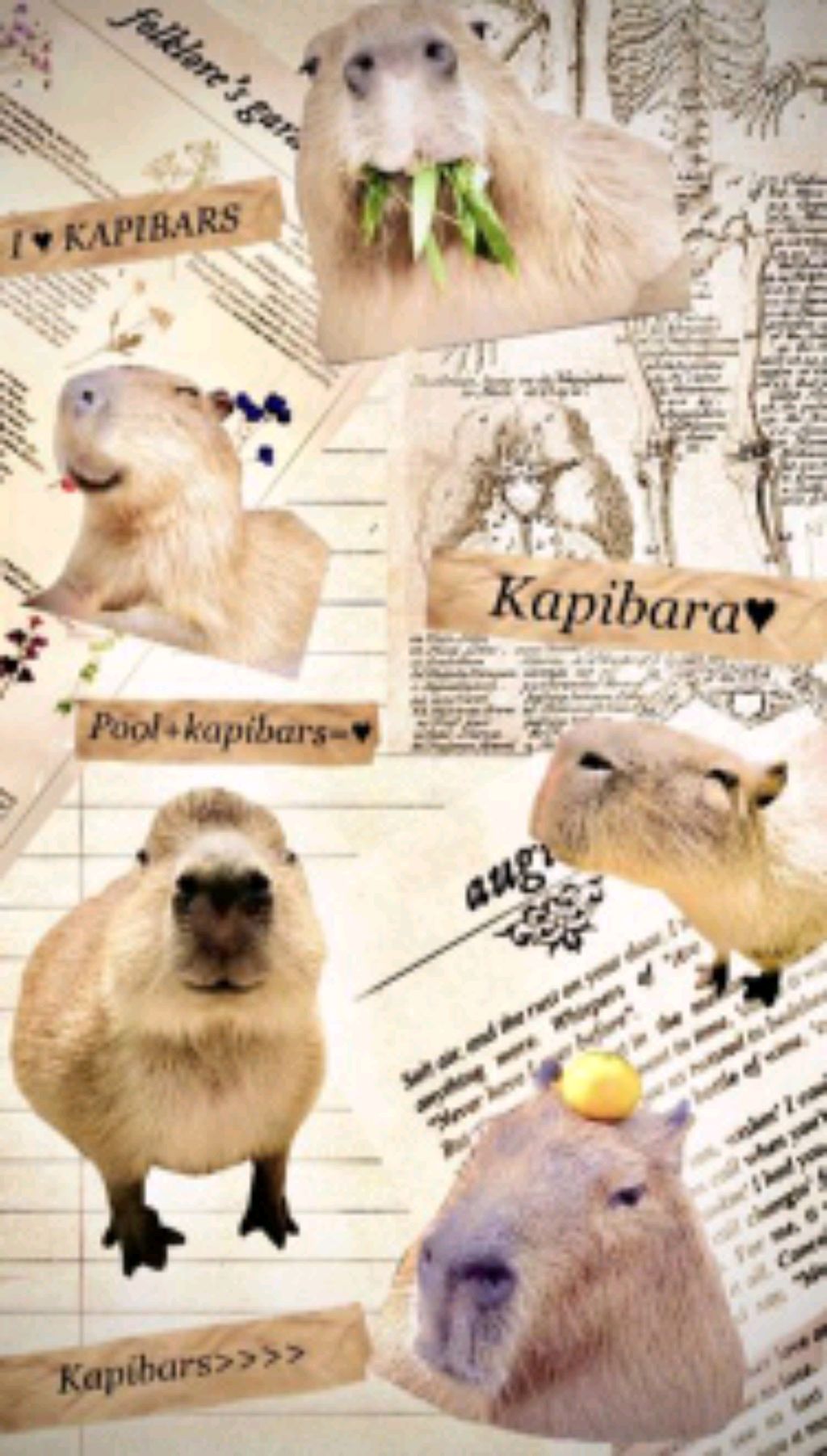 гуляем чек