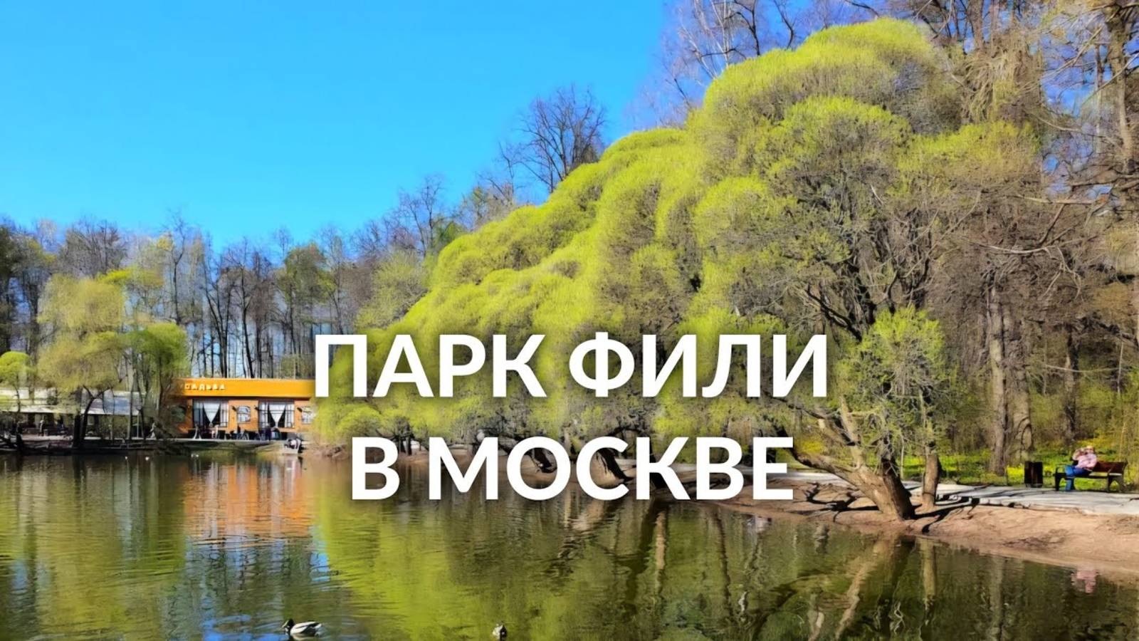 Парк Фили в Москве — прогулка, виды, атмосфера